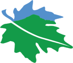 Lost Maples Cabins and Lodging